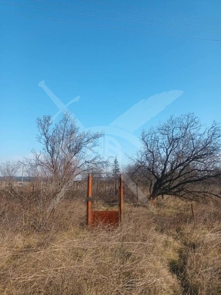 Продаја  Плот Бургас , Банево , 500 м2 | 78521148