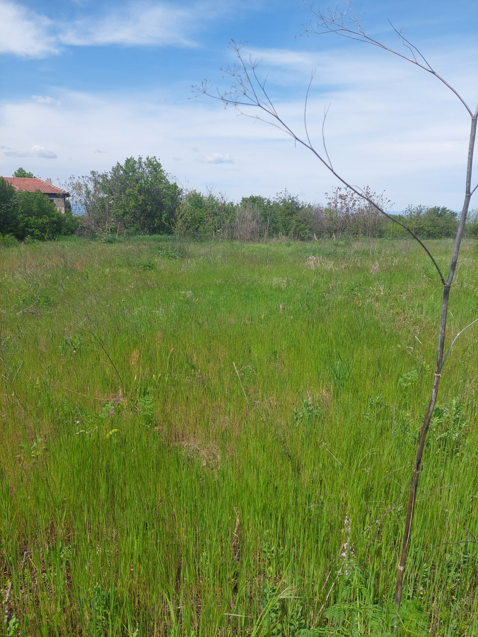 Продава КЪЩА, с. Питово, област Сливен, снимка 16 - Къщи - 54265548