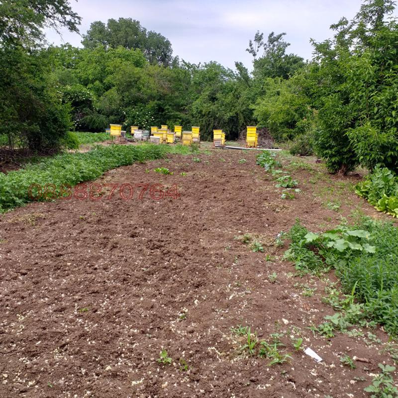 Продава КЪЩА, с. Бресте, област Плевен, снимка 7 - Къщи - 52785767