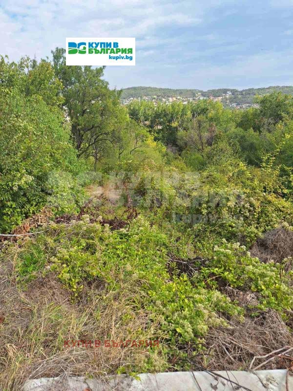 На продаж  Сюжет Варна , м-т Долна Трака , 738 кв.м | 76893300 - зображення [5]