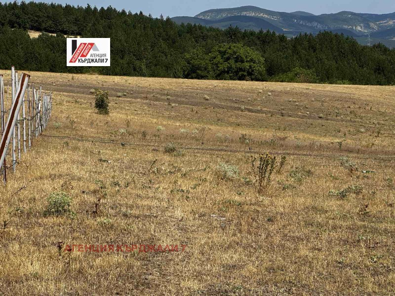 For Sale  Plot region Kardzhali , Petlino , 1750 sq.m | 20558282 - image [11]