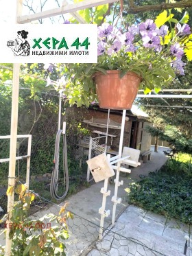 ����� ������� ����,�. �������, ������ �����