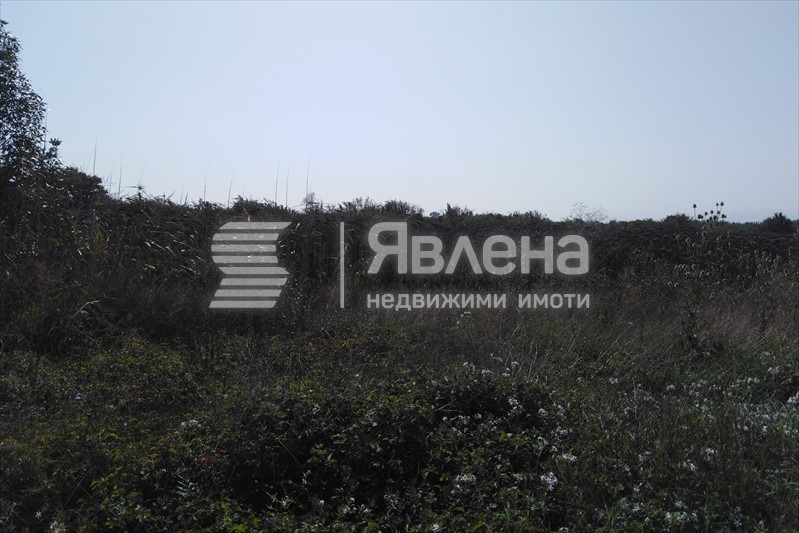 À venda  Trama região Plovdiv , Iagodovo , 11313 m² | 38726901
