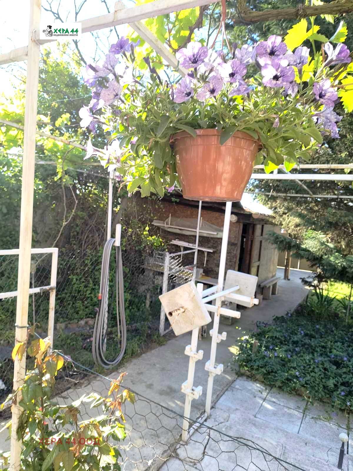 Продава КЪЩА, с. Здравец, област Варна, снимка 2 - Къщи - 53942860