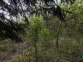 Продава ВИЛА, гр. Костинброд, област София област, снимка 3