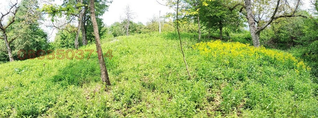 ������� ������ | Imot.bg � ����������� 17