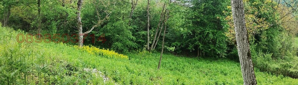 ������� ������ | Imot.bg � ����������� 12