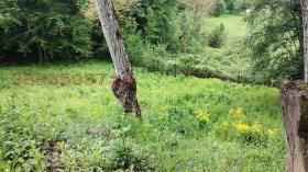 ������� ������ | Imot.bg � ����� ������ 15