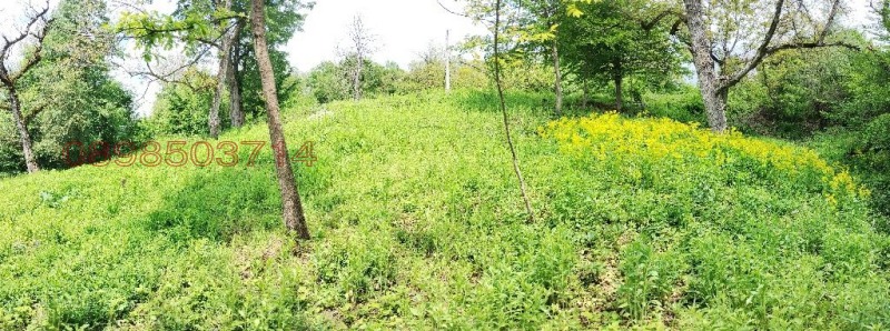 Продава ПАРЦЕЛ, гр. Тетевен, област Ловеч, снимка 17 - Парцели - 52781059