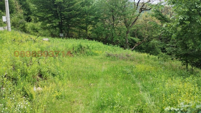 Продава ПАРЦЕЛ, гр. Тетевен, област Ловеч, снимка 14 - Парцели - 52781059