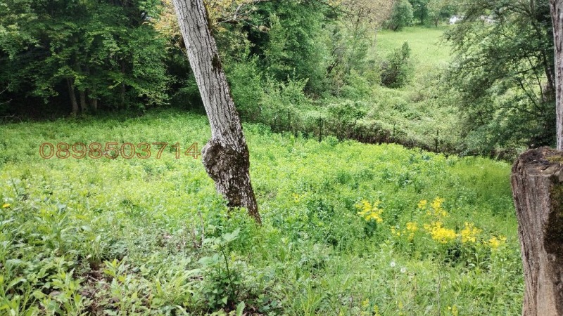 Продава ПАРЦЕЛ, гр. Тетевен, област Ловеч, снимка 15 - Парцели - 52781059