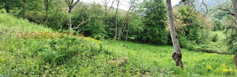 Продава ПАРЦЕЛ, гр. Тетевен, област Ловеч, снимка 13 - Парцели - 52781059