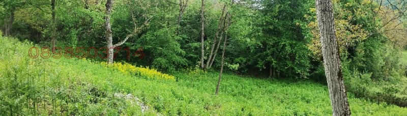 Продава ПАРЦЕЛ, гр. Тетевен, област Ловеч, снимка 12 - Парцели - 52781059