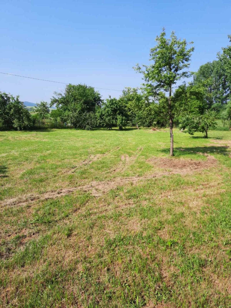 Продава ПАРЦЕЛ, с. Дрен, област Перник, снимка 10 - Парцели - 52782807