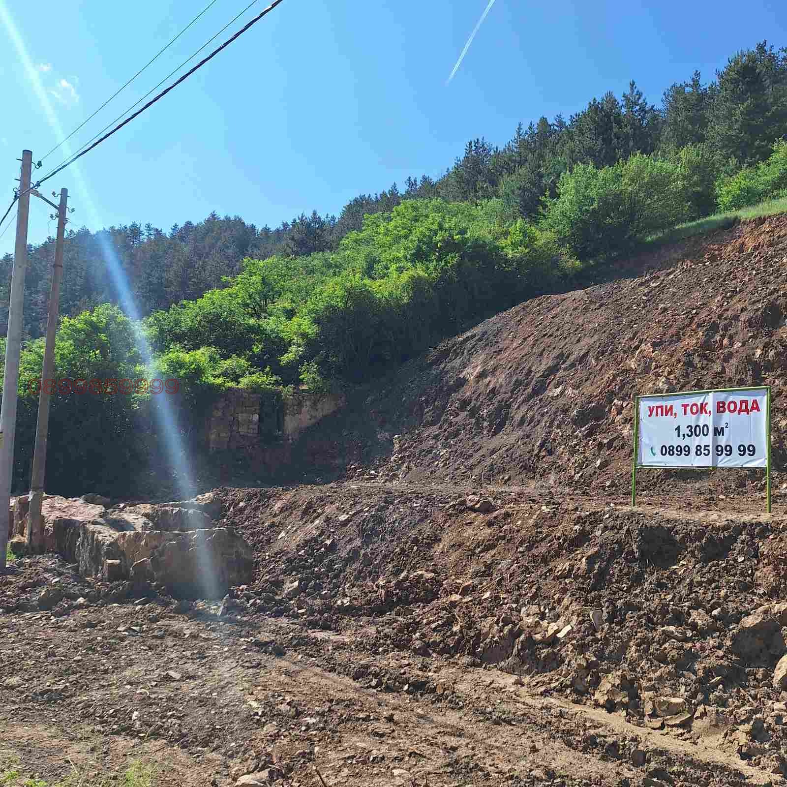 Продава ПАРЦЕЛ, с. Потоп, област София област, снимка 3 - Парцели - 53815387