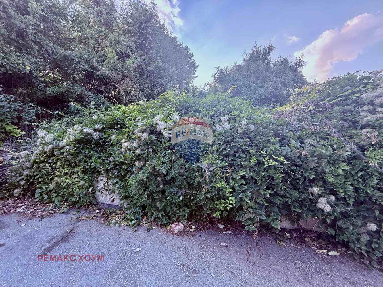 Продава ПАРЦЕЛ | Imot.bg — изображение 10