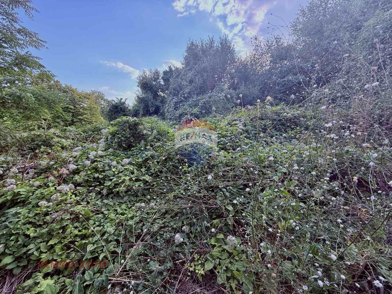 Продава ПАРЦЕЛ | Imot.bg — изображение 3