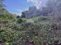 Продава ПАРЦЕЛ, област Добрич, гр. Балчик • 104500 € • 14605402 — Holmes.bg