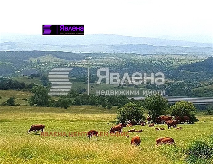 Продава КЪЩА, с. Големо Бучино, област Перник, снимка 7 - Къщи - 48696004