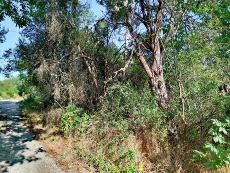 Na prodej  Spiknutí oblast Pernik , Pocarnenci , 630 m2 | 60047421 - obraz [3]