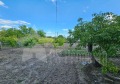Продава  Парцел област Стара Загора , с. Хрищени , 850 кв.м | 32375405 - изображение [2]