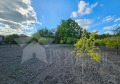 Продава  Парцел област Стара Загора , с. Хрищени , 850 кв.м | 32375405 - изображение [6]