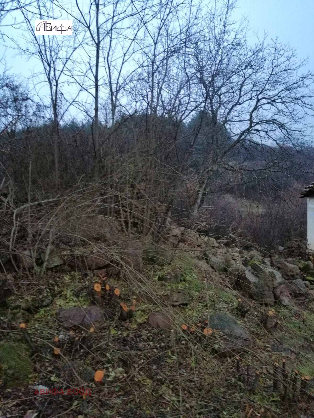 ������� ������ | Imot.bg � ����������� 4