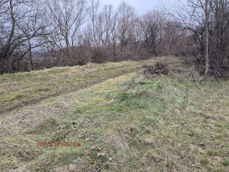 For Sale  Plot Pernik , Tsarkva , 4604 sq.m | 67631755 - image [3]