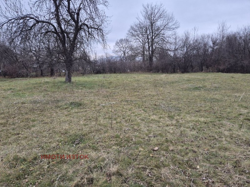 For Sale  Plot Pernik , Tsarkva , 4604 sq.m | 67631755 - image [6]