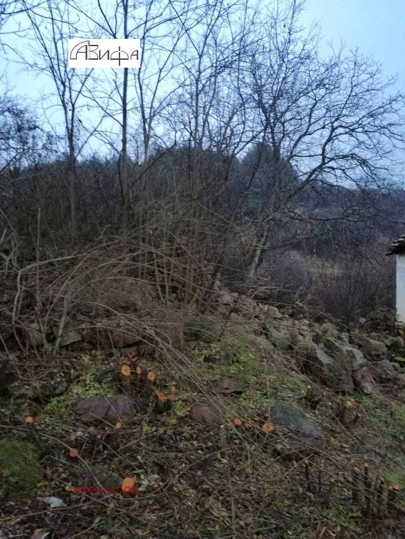 Продава ПАРЦЕЛ, с. Байлово, област София област, снимка 3 - Парцели - 52514788