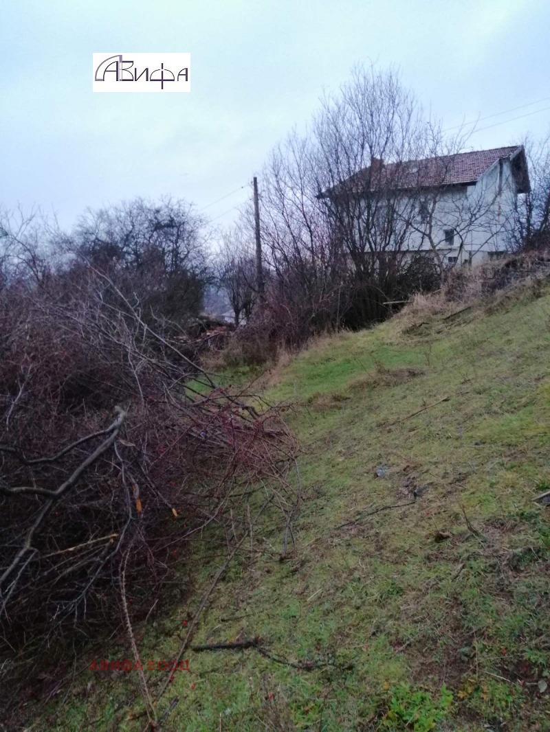 Продава ПАРЦЕЛ, с. Байлово, област София област, снимка 5 - Парцели - 52514788