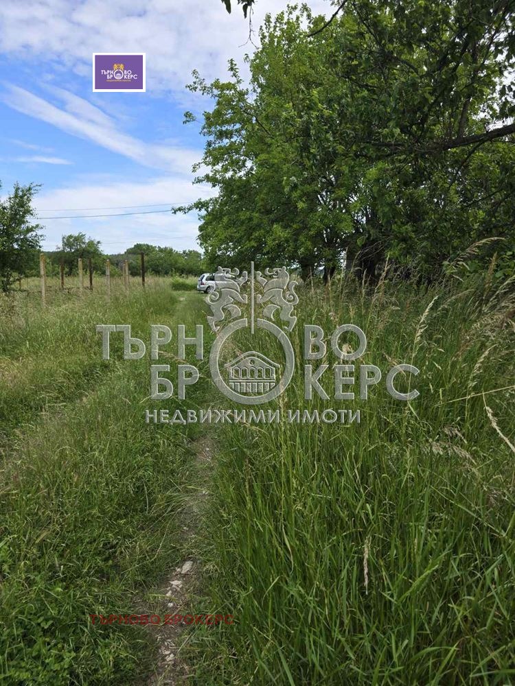 ������� ������ | Imot.bg � ����������� 7