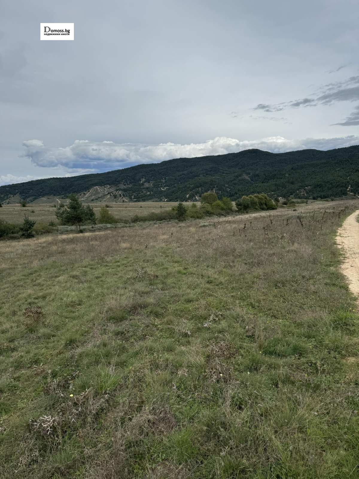 ������� ���������� ���� | Imot.bg � ����������� 1