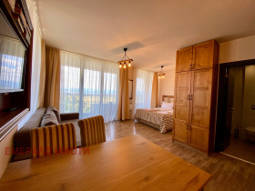 Studio Bansko, region Blagoevgrad 7