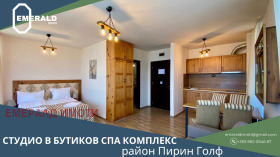 Studio Bansko, region Blagoevgrad 1