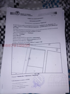 ����� ������� ������,�. ���������, ������ �����