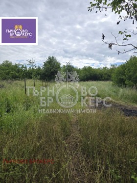 ������� ������ | Imot.bg � ����� ������ 4