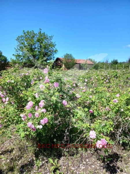 Продава КЪЩА, с. Старосел, област Пловдив, снимка 4 - Къщи - 53814871