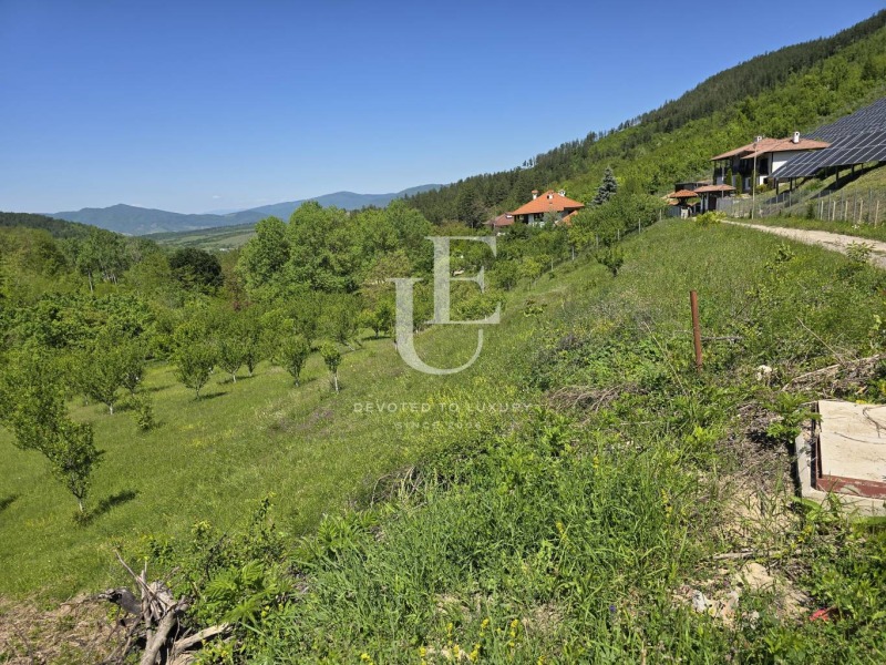 Eladó  Cselekmény régió Lovech , Teteven , 16740 négyzetméter | 33322644 - kép [2]
