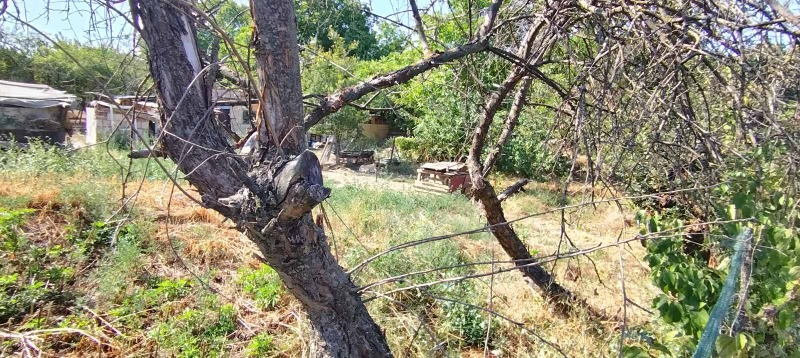 Eladó  Cselekmény Ruse , v.z. Rusofili , 272 négyzetméter | 40524920 - kép [5]
