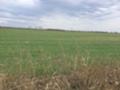 Продава ПАРЦЕЛ, област Русе, с. Червена вода • 106000 € • 17201303 — Holmes.bg