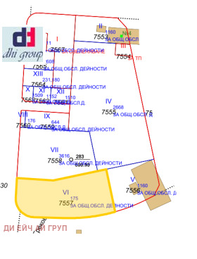 ����� ������� ������,���� �����, ���������