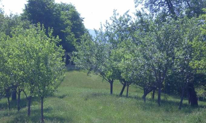 Προς πώληση  Οικόπεδο περιοχή Lovech , Απρηλτση , 1518 τ.μ | 66005754