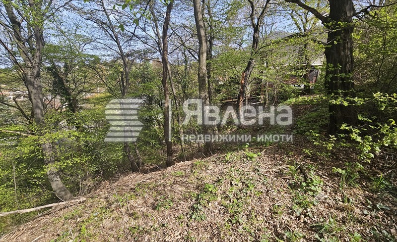 Продава ПАРЦЕЛ, гр. София, в.з.Килиите, снимка 4 - Парцели - 55905598
