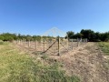 Продава ПАРЦЕЛ, с. Борисово, област Русе, снимка 1