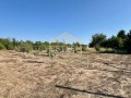 Продава ПАРЦЕЛ, с. Борисово, област Русе, снимка 4