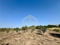 Продава ПАРЦЕЛ, с. Борисово, област Русе, снимка 5