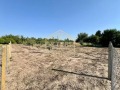Продава ПАРЦЕЛ, с. Борисово, област Русе, снимка 3