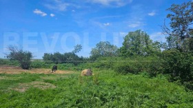 Plott Izvorsko, region Varna
