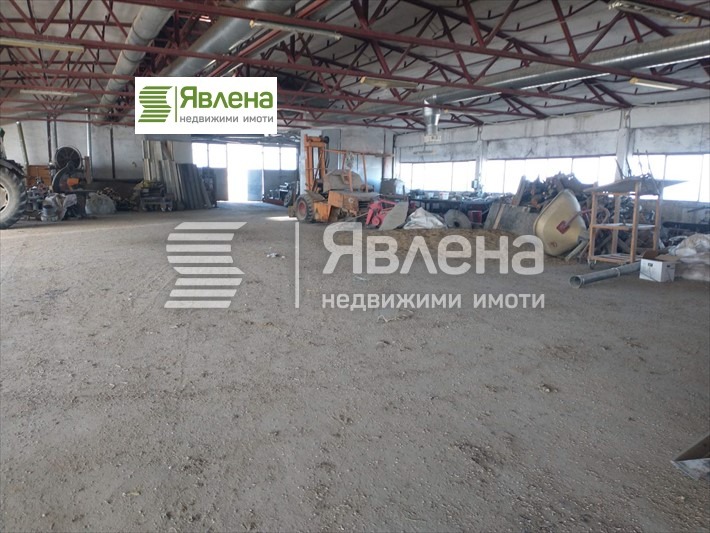 Te koop  Industrie gebouw regio Sofia , Litakovo , 10000 m² | 66298106 - afbeelding [5]